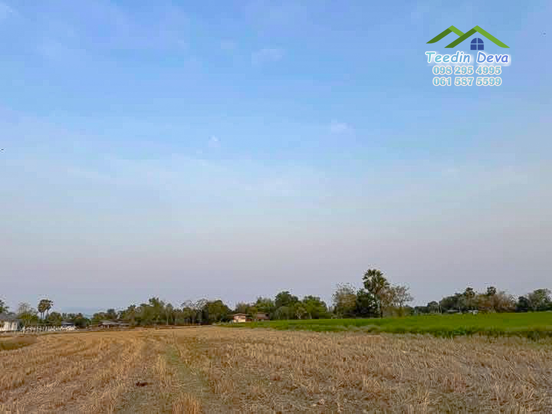 ขายที่ดินนครนายก 1 ไร่ ราคาถูก ลดราคาด่วนๆ ขายไร่ละ 9.5 แสน ต.ศรีนาวา อ.เมือง จ.นครนายก