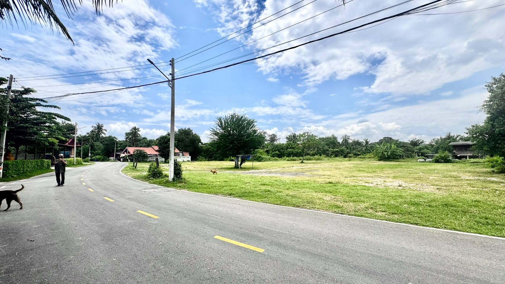 ขายที่ดิน ราชบุรี แปลงใหญ่ สำหรับสร้างหมู่บ้าน พื้นที่รวมประมาณ 4 ไร่ 3 งาน 39 ตารางวา ทำเลศักยภาพสูง 🚗 จุดเด่นของที่ดิน ✅ ติดถนน 3 ด้าน เข้า-ออกได้หลายทาง ✅ ติดคลองชลประทาน บรรยากาศร่มรื่น ลมดีตลอดปี ✅ รายล้อมด้วย ชุมชน โรงเ