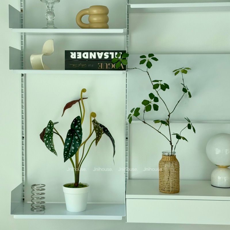 [พร้อมส่ง] Jnihouse : ต้นไม้ประดิษฐ์บีโกเนียลายจุด (Artificial Begonia Maculata Tree)