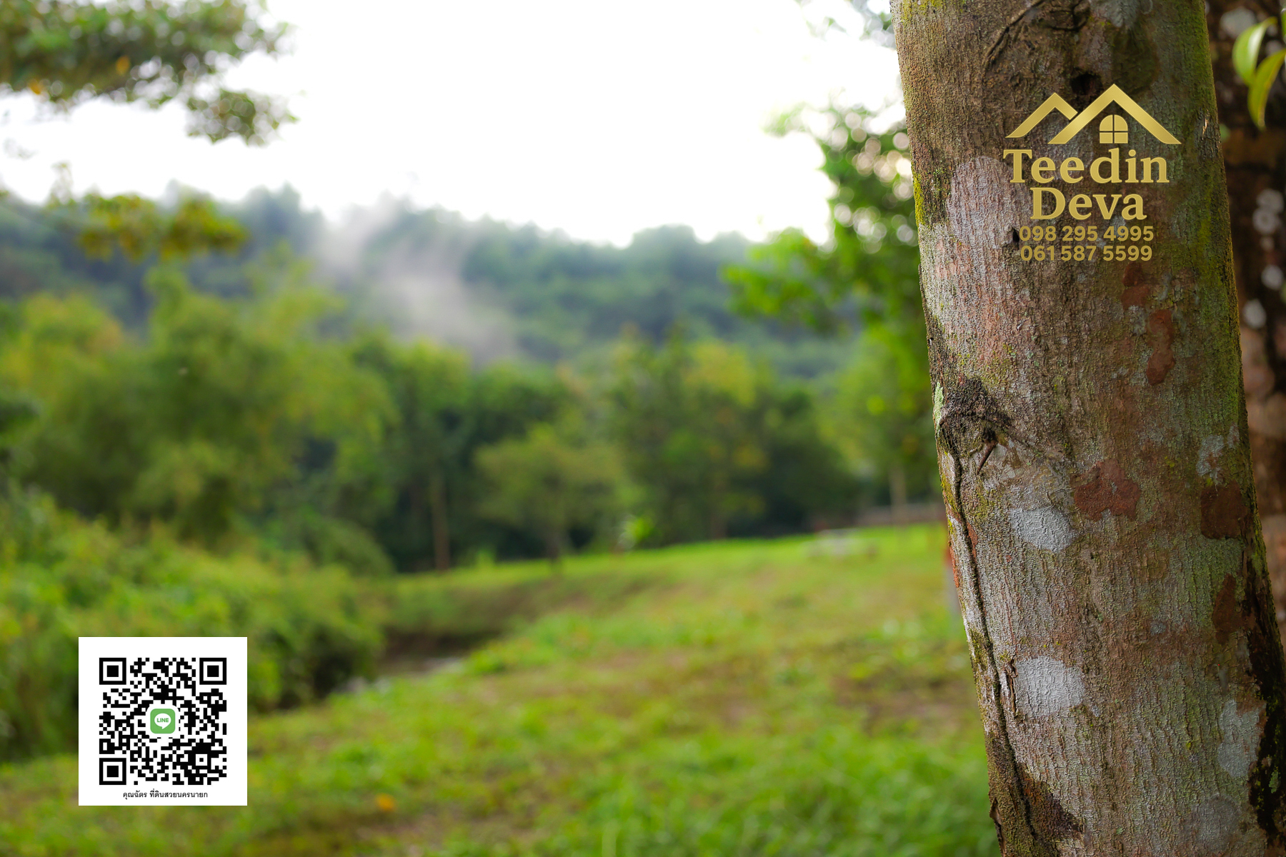 🌿 สร้างบ้านในฝัน วิวเขาใหญ่ ติดริมลำธารธรรมชาติ 237 ตร.ว. ต.หินตั้ง อ.เมือง จ.นครนายก 🌄