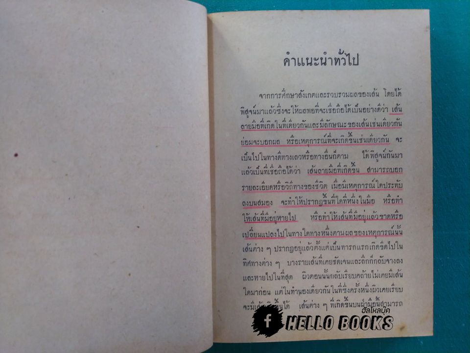 ลักษณะเส้นและลายมือ