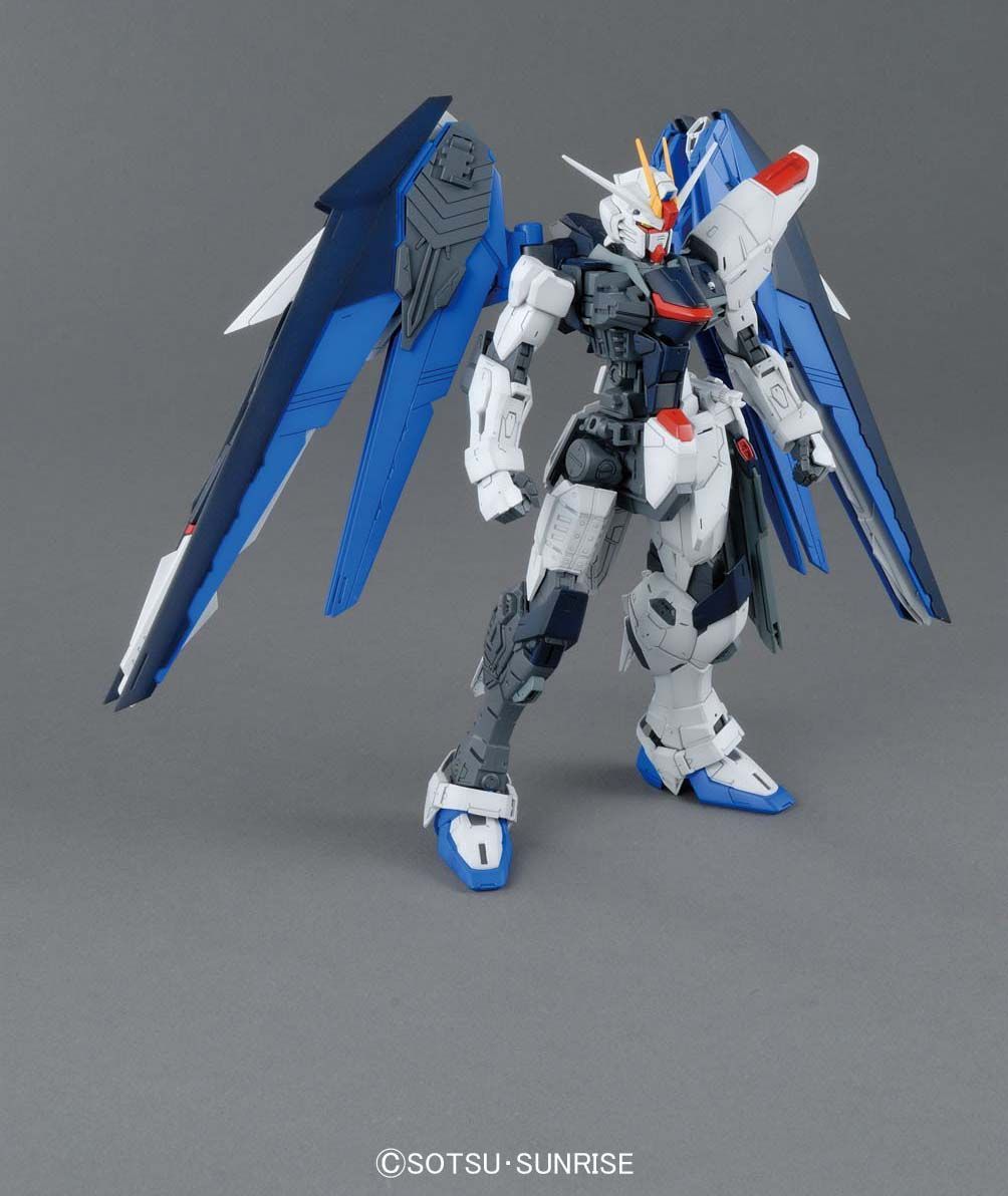 (MG) 1/100 ZGMF-X10A FREEDOM GUNDAM VER 2.0