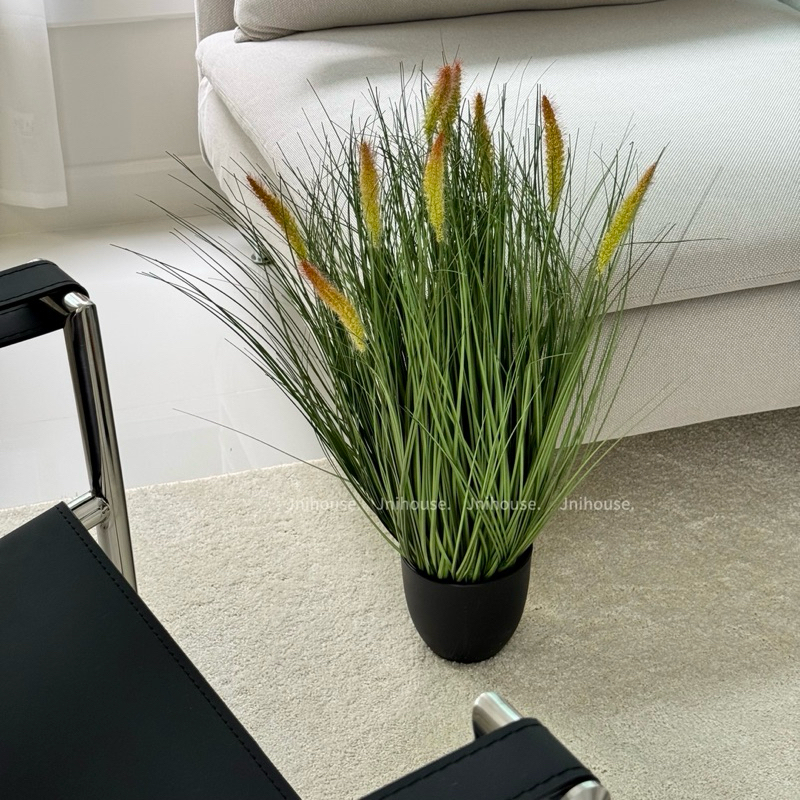 [พร้อมส่ง] Jnihouse : ต้นหญ้าประดิษฐ์กระถางดำ (Artificial Grass Potted)(Tree)