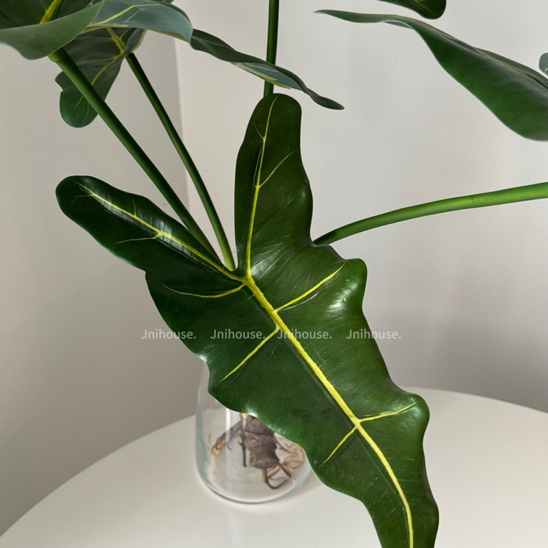 [พร้อมส่ง] Jnihouse : กิ่งไม้ประดิษฐ์ อโลคาเซีย ซาเรียน (หูช้าง)(Tree)