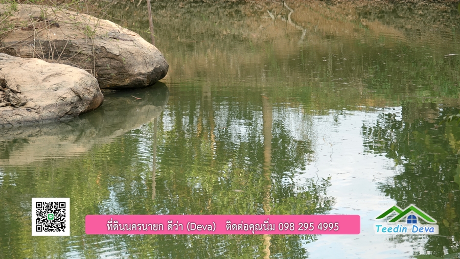 บ้านสวนผลไม้ สามารถเก็บผลผลิตได้เลย พื้นที่ 2 ไร่ 1 งาน อ.ปากพลี จ.นครนายก