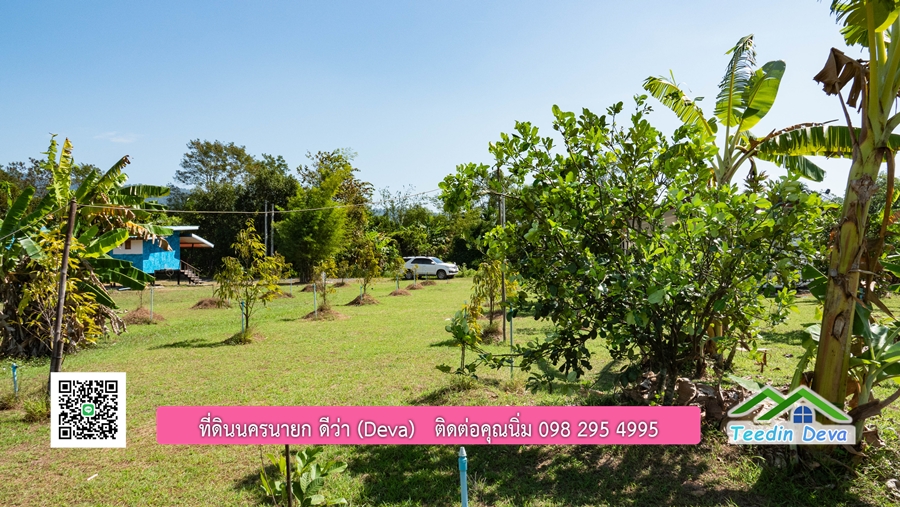 (ติดจอง) ที่ดินนครนายก บ้านสวน พร้อมที่ดิน ขนาด 1 ไร่ 1 งาน วิวภูเขาสวย อยู่ใกล้เขื่อนขุนด่านปราการชล