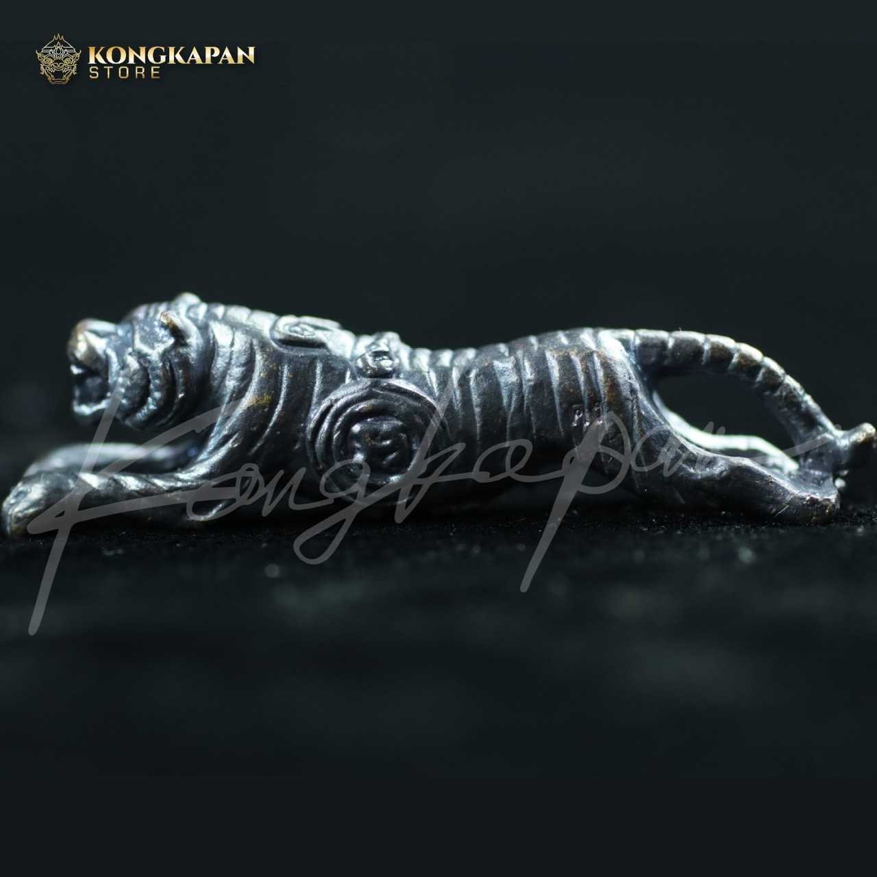 เสือสมิง เนื้อทองแดงรมดำ รุ่นปาฏิหาริย์ 5 หลวงพ่อคง วัดวังสรรพรส จ.จันทบุรี ปี 55