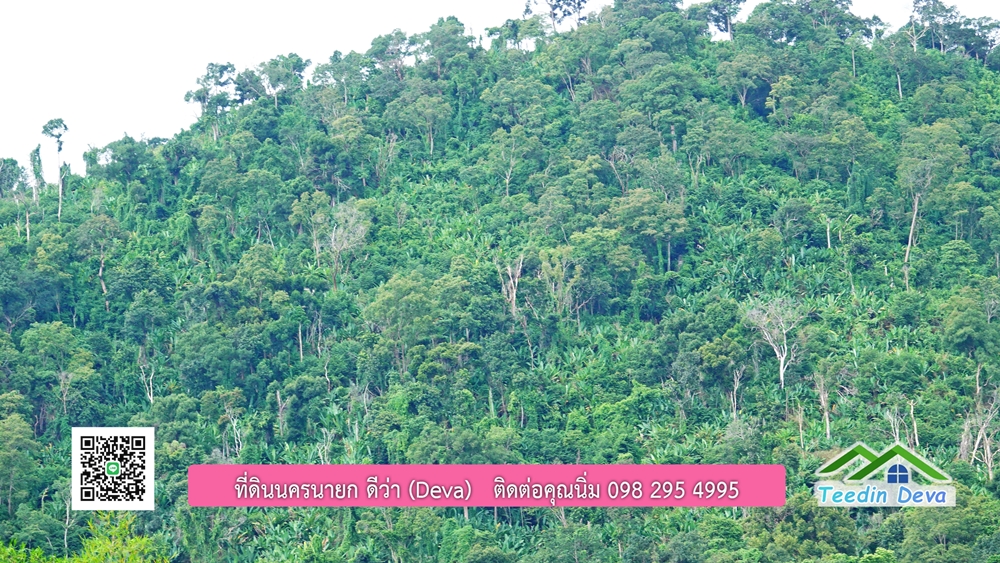 ที่ดินนครนายก ติดลำธารสวยๆ ที่ดินแปลงสวย 6 ไร่ ทำเลดี ในอ้อมกอดของขุนเขา ด้านหลังติดลำธารธรรมชาติ