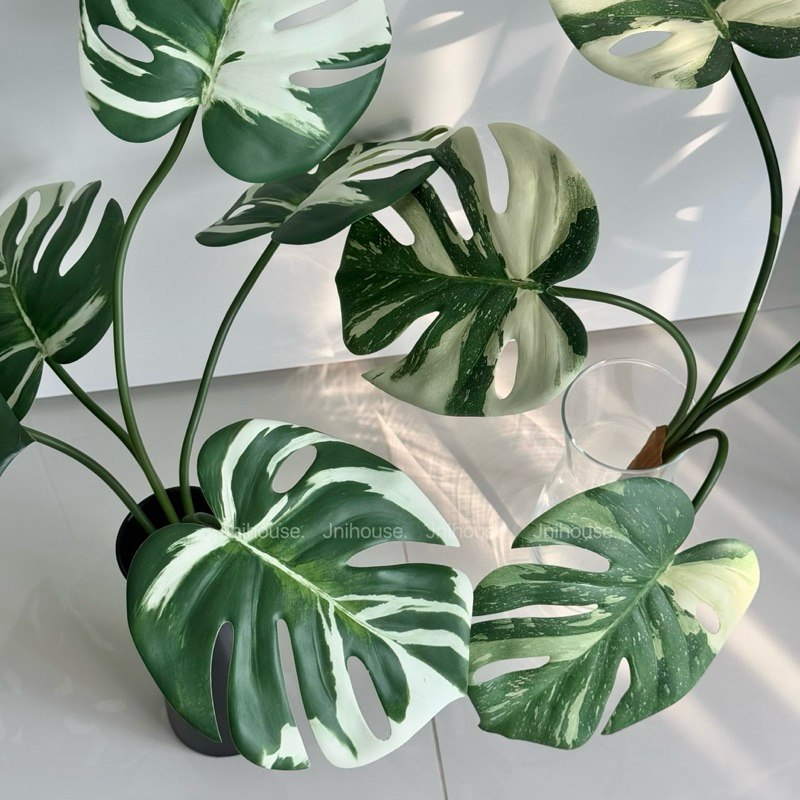 [พร้อมส่ง] Jnihouse : กิ่งมอนสเตร่าประดิษฐ์ (Monstera Plant)(Tree)