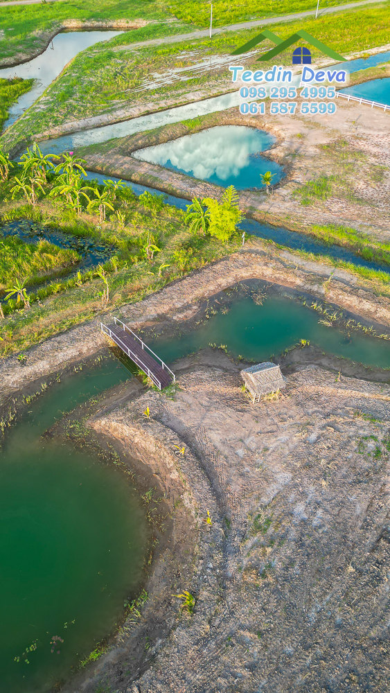 ที่ดินนครนายก แปลงสวย เหมาะทำบ้านสวนเกษตร 2 ไร่ 1 งาน 19 ตร.ว. ต.พรหมณี อ.เมือง จ.นครนายก