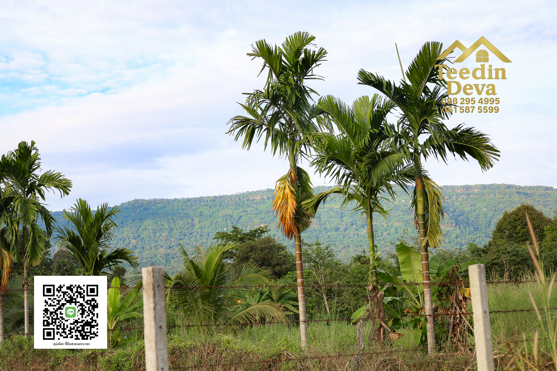 💭 ตื่นเช้าลมเย็น เห็นเขาใหญ่ตรงหน้า... ที่ดินสวนผลไม้ 2 ไร่ 3 งาน ต.นาหินลาด อ.ปากพลี จ.นครนายก