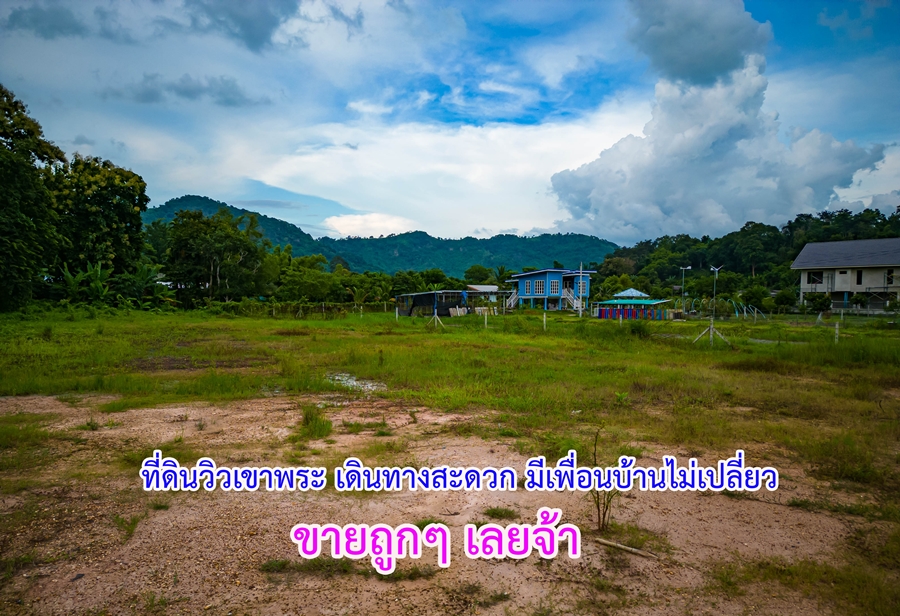 ที่ดินนครนายก ที่ดินวิวเขา อยู่ใกล้ชุมชน เหมาะกับทำการค้าขาย ทำธุรกิจ