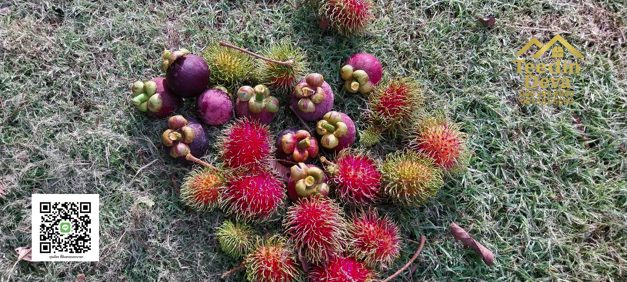 🌿 บ้านสวนในฝัน พร้อมอยู่ ใกล้เขื่อนขุนด่าน เนื้อที่ 1 ไร่ ต.สาริกา อ.เมือง จ.นครนายก 🏡