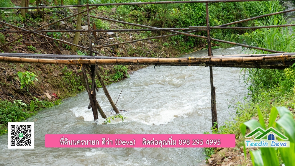 ที่ดินนครนายก สวนผลไม้ขนาดเล็ก 155 ตร.ว. ด้านหลังติดลำธาร