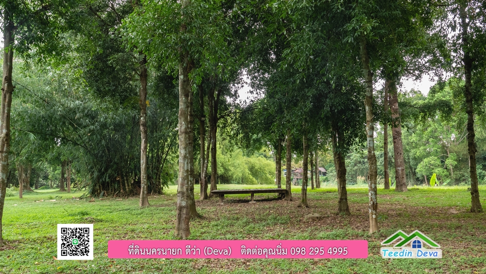 ที่ดินนครนายก ติดแม่น้ำ 14 ไร่ พื้นที่ติดแม่น้ำ 400 เมตร ชมลำธารสวยๆ บรรยากาศสบายๆ ต.สาริกา อ.เมือง จ.นครนายก