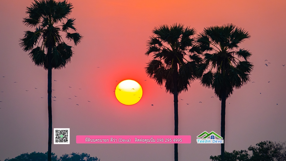 🌿 ที่ดินสวยๆ ขนาด 2 ไร่ พร้อมน้ำไฟ ดินดี น้ำดี อากาศดี มีเพื่อนบ้าน ณ ต.ปากพลี อ.ปากพลี จ.นครนายก