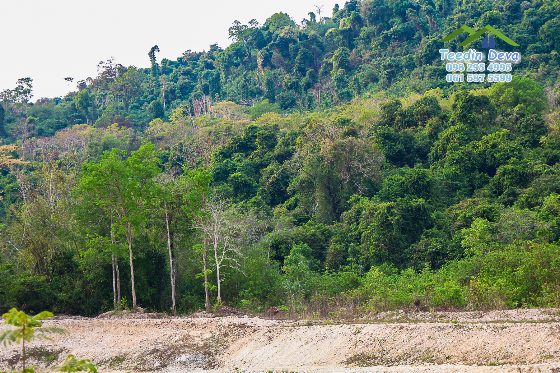 (ปิดการขาย) ที่ดินนครนายก ติดภูเขา ลำธารธรรมชาติไหลผ่านแปลง เนื้อที่ 10 ไร่ 1 งาน ต. สาริกา อ. เมือง จ.นครนายก