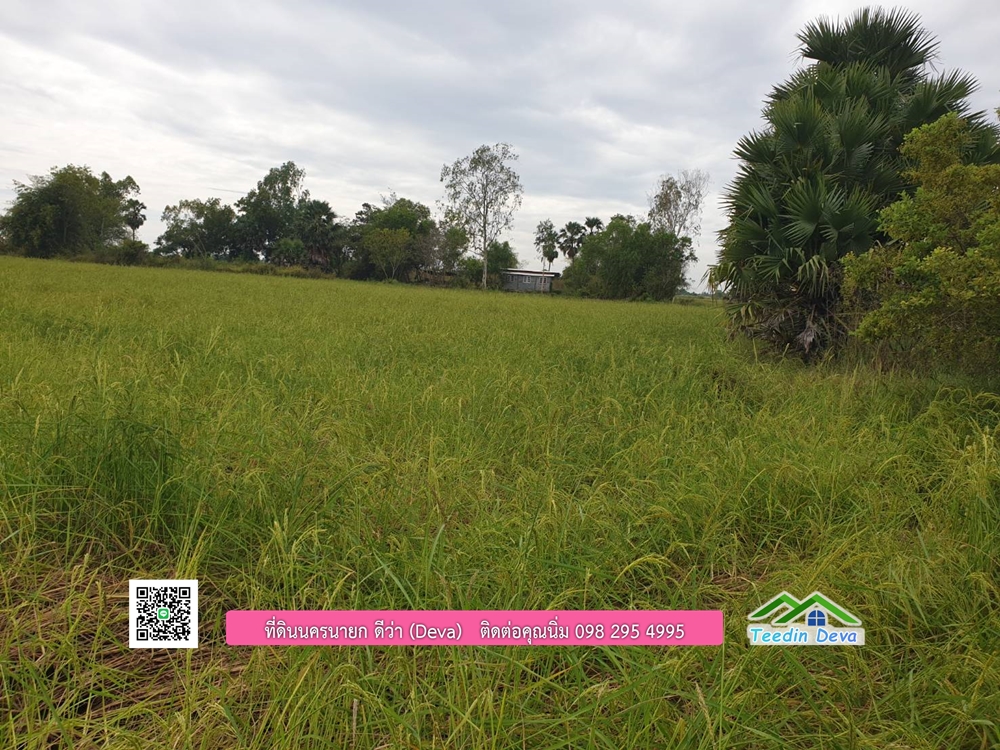 ที่ดินแปลงสวย ราคาถูก เนื้อที่ 33-1-67 ไร่ ราคาไร่ละ 250,000 บาท การเดินทางสะดวก อยู่ใกล้จุดชมนกเหยี่ยวหูดำ อ.ปากพลี จ.นครนายก