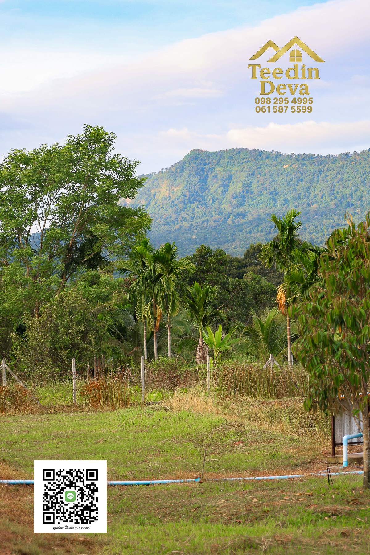 💭 ตื่นเช้าลมเย็น เห็นเขาใหญ่ตรงหน้า... ที่ดินสวนผลไม้ 2 ไร่ 3 งาน ต.นาหินลาด อ.ปากพลี จ.นครนายก