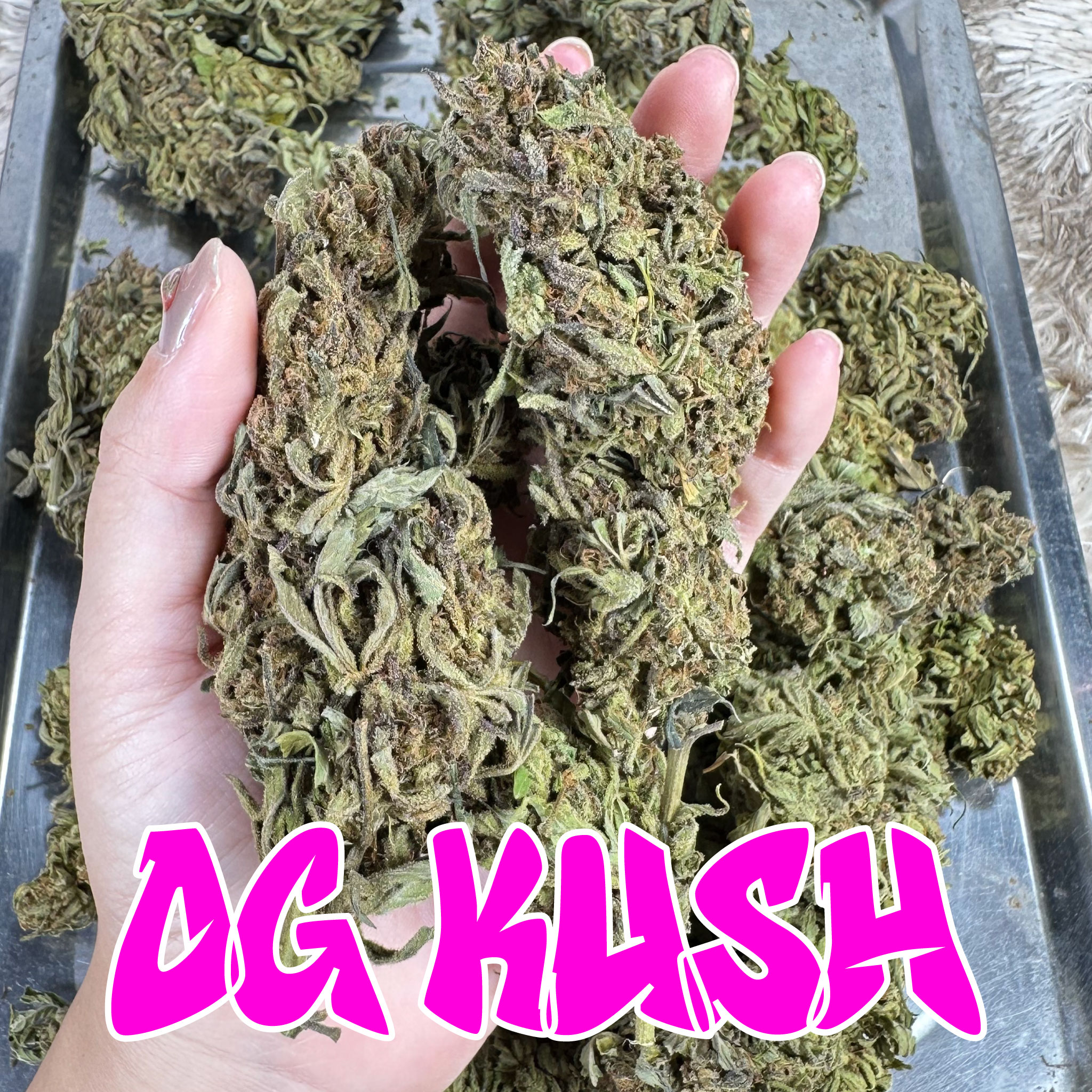 OG Kush