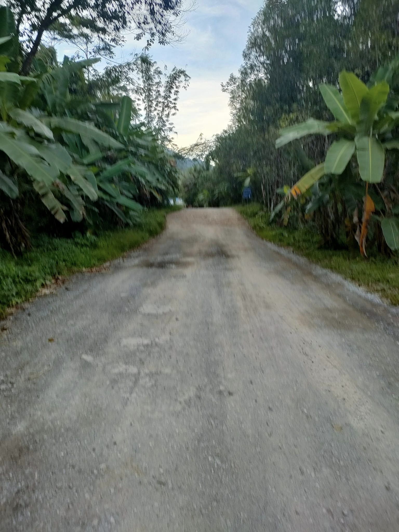 ที่ดินนครนายก ติดลำธารสวย บรรยากาศดีมากๆ วิวภูเขาล้อมพาโนราม่า ต.สาริกา อ.เมือง จ.นครนายก โฉนดครุฑแดง