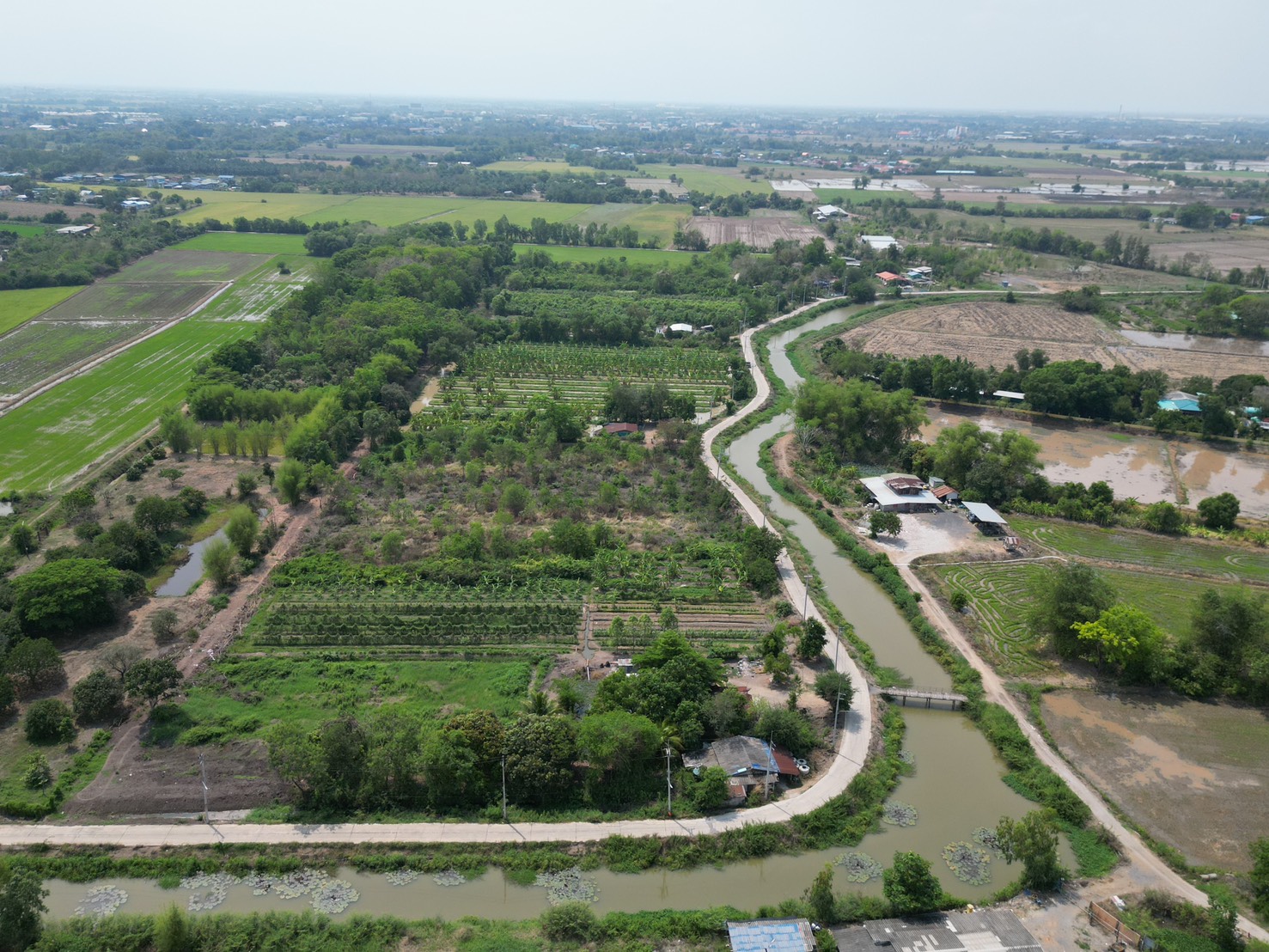 🔥 ที่ดินสวย ทำเลดี ที่ดินเชิงเกษตร ต.หนองจระเข้ อ.หนองแค จ.สระบุรี