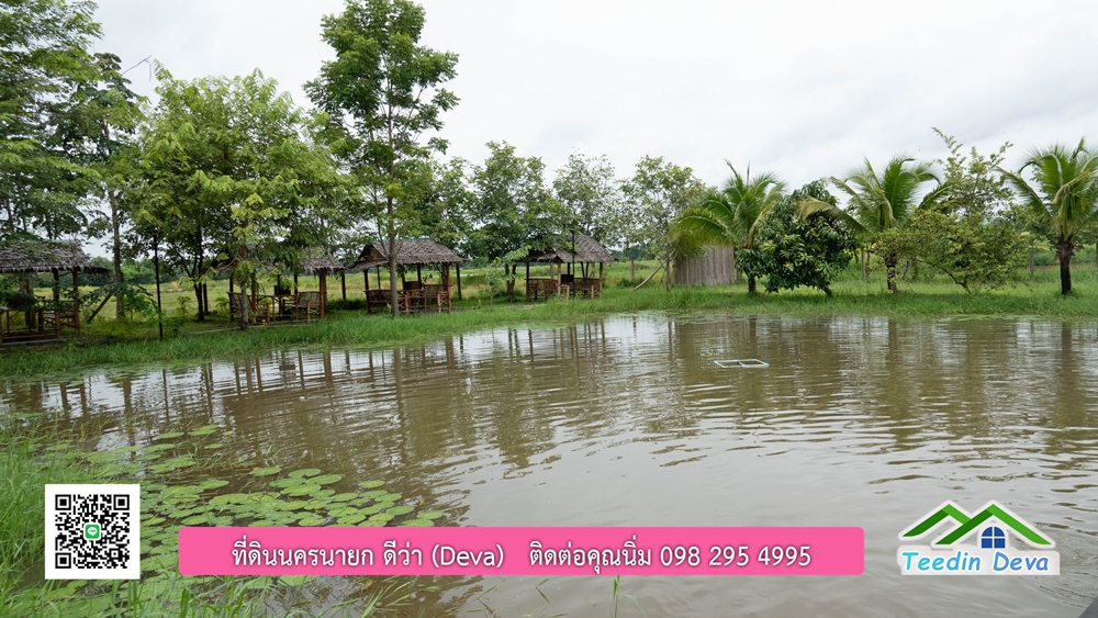 ขายบ้านสวน กลางนา วิวเขาใหญ่ ต.สาริกา อ.เมือง จ.นครนายก