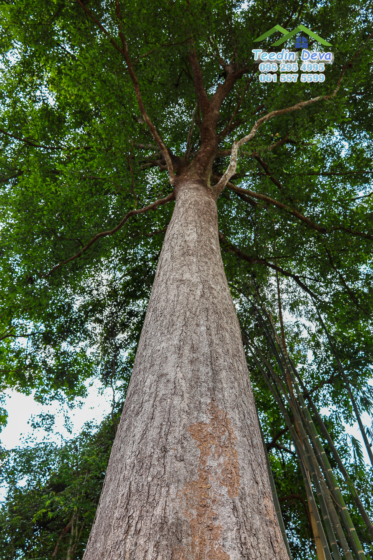 🌿 “มุมสงบแห่งภูกะเหรี่ยง” ที่ดินวิวเขา ริมคลองน้ำใส 297 ตรว. ต.หินตั้ง อ.เมือง จ.นครนายก สำเนา