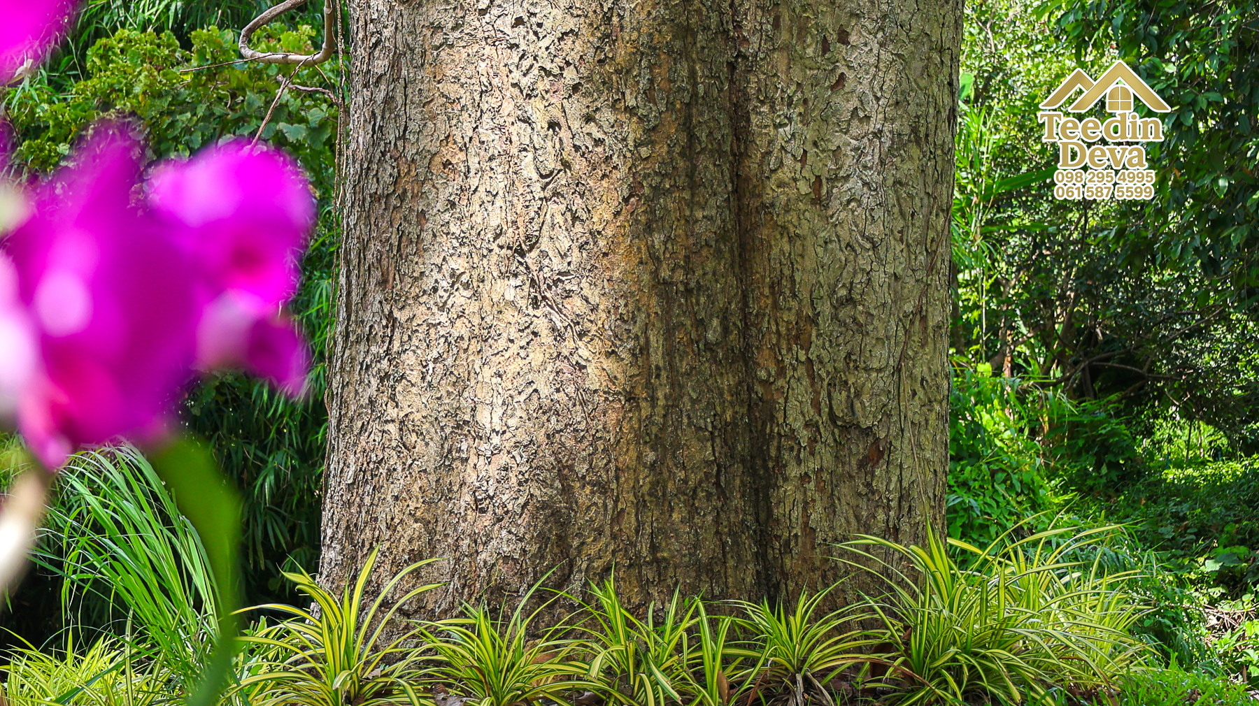 ðŋ āļāđāļēāļāļŠāļ§āļāđāļāļāļąāļ āļĢāļīāļĄāļĨāļģāļāļēāļĢ āļ§āļīāļ§āļ āļđāđāļāļēāļŠāļ§āļĒ â 821 āļāļĢ.āļ§. āļ.āļŠāļēāļĢāļīāļāļē āļ.āđāļĄāļ·āļāļ āļ.āļāļāļĢāļāļēāļĒāļ ðŋ