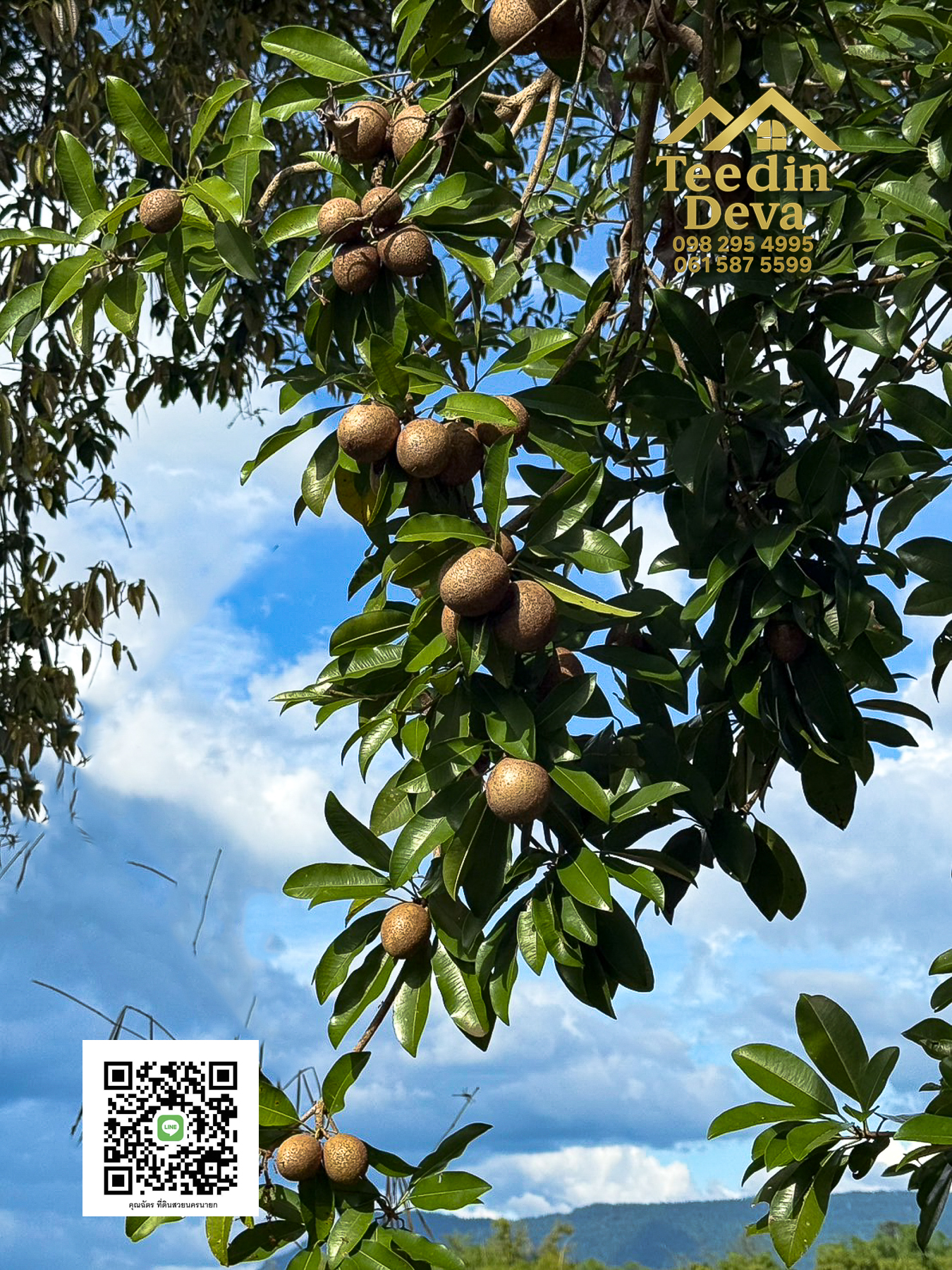 🌄 บ้านสวนผลไม้ในฝันกลางวิวเขาใหญ่ — 2 ไร่ 45 ตรว. ต.นาหินลาด อ.ปากพลี จ.นครนายก 🍃