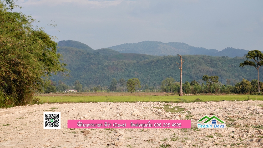 ที่ดินนครนายก วิวทุ่งนาต้นยางสวยๆ ขนาด 4 ไร่ ราคาไร่ละ 1.5 ล้าน ต.เขาเพิ่ม อ.บ้านนา จ.นครนายก