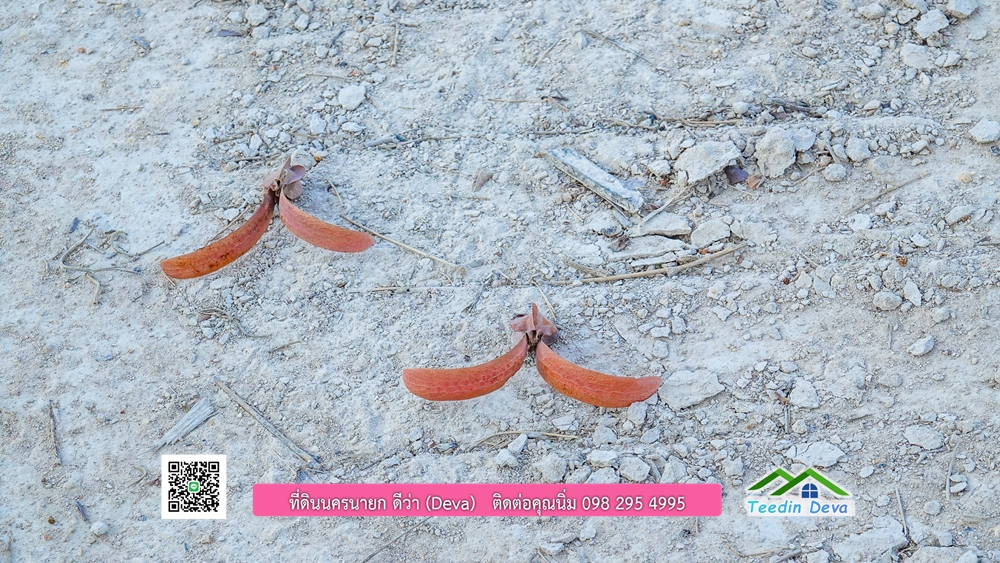 ที่ดินนครนายก แบ่งขายแปลงเล็ก ขนาด 210-803 ตร.ว. ใกล้แหล่งท่องเที่ยวจุดชมวิว