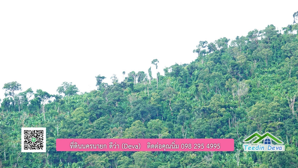 ที่ดินนครนายก ติดลำธารสวยๆ ที่ดินแปลงสวย 6 ไร่ ทำเลดี ในอ้อมกอดของขุนเขา ด้านหลังติดลำธารธรรมชาติ