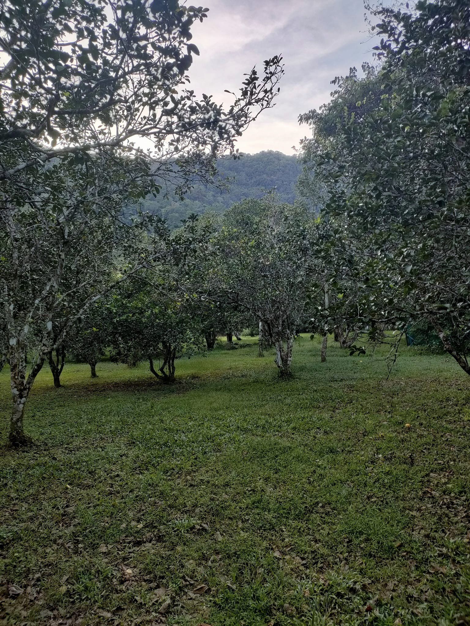 ที่ดินนครนายก ติดลำธารสวย บรรยากาศดีมากๆ วิวภูเขาล้อมพาโนราม่า ต.สาริกา อ.เมือง จ.นครนายก โฉนดครุฑแดง