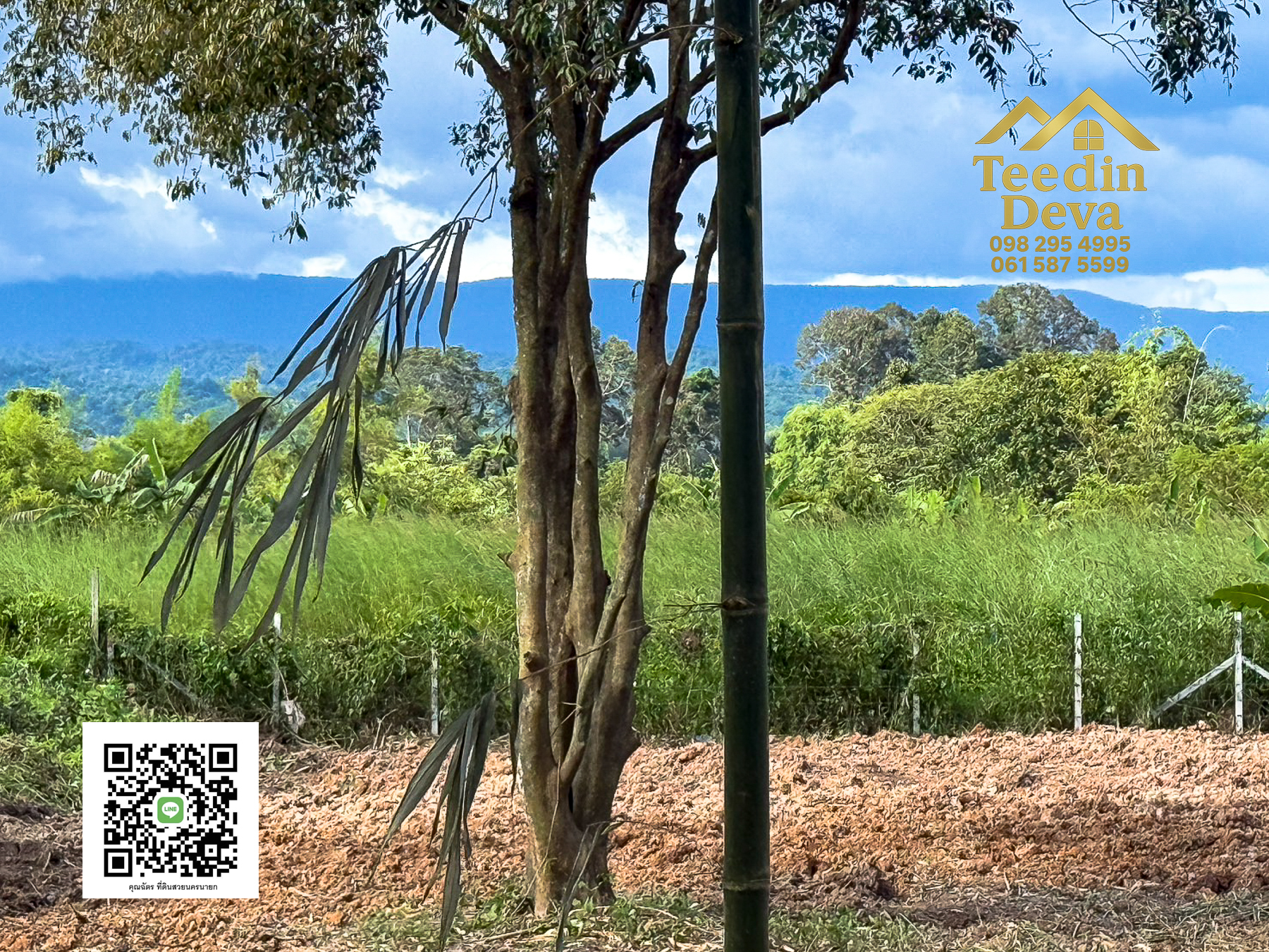 🌄 บ้านสวนผลไม้ในฝันกลางวิวเขาใหญ่ — 2 ไร่ 45 ตรว. ต.นาหินลาด อ.ปากพลี จ.นครนายก 🍃