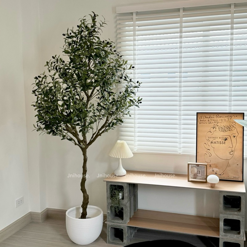 [พร้อมส่ง] Jnihouse : ต้นมะกอกประดิษฐ์สูง 210 cm (Artificial Olive tree)