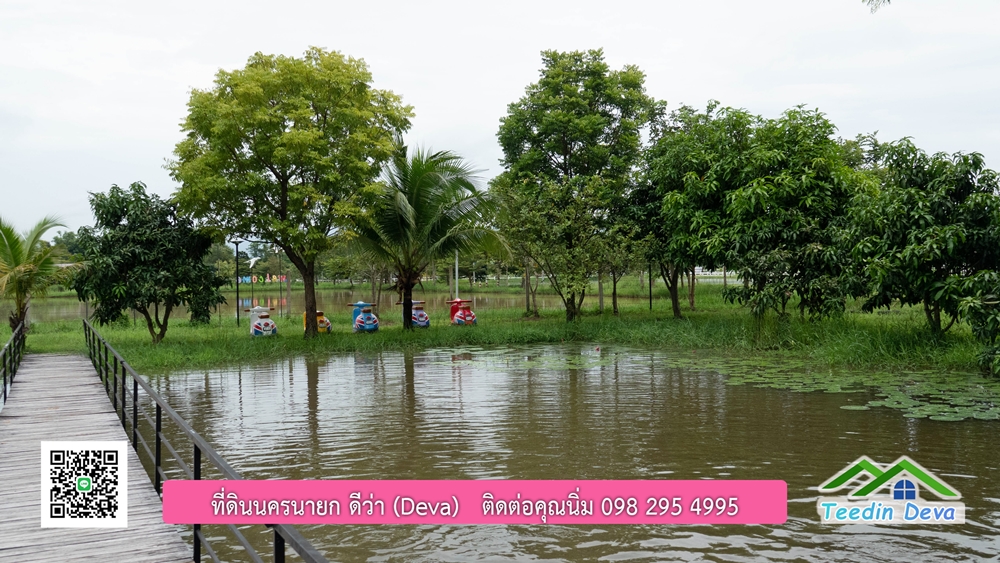 ขายบ้านสวน กลางนา วิวเขาใหญ่ ต.สาริกา อ.เมือง จ.นครนายก