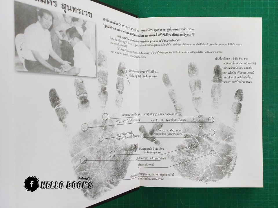 แนะนำปัญหาบนฝ่ามือ Palm reading