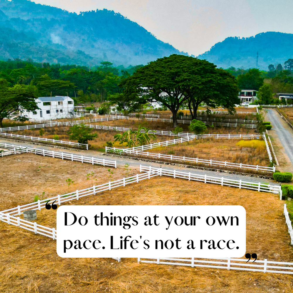 ที่ดินนครนายก วิวเขาใหญ่ เนื้อที 121 ตร.ว. บรรยากาศดี ⭐ เหมือนอยู่ต่างประเทศ เหมาะกับสร้างบ้านตากอากาศ ต.เขาพระ อ.เมือง จ.นครนายก