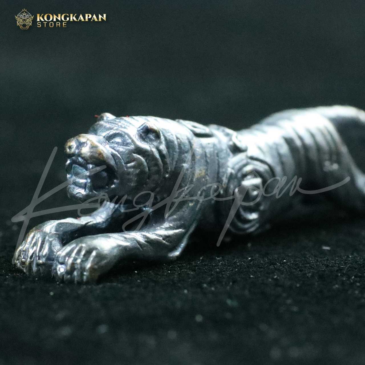 เสือสมิง เนื้อทองแดงรมดำ รุ่นปาฏิหาริย์ 5 หลวงพ่อคง วัดวังสรรพรส จ.จันทบุรี ปี 55