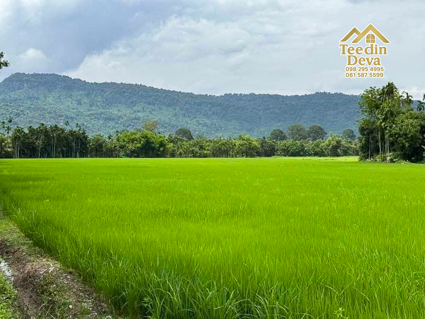 🏞️ ที่ดินวิวภูเขา จุดเริ่มต้นของบ้านในฝัน เนื้อที่ 300 ตารางวา ต.เขาพระ อ.เมือง จ.นครนายก