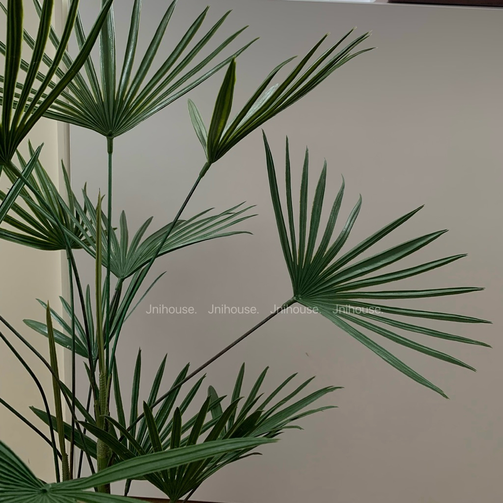 [พร้อมส่ง] Jnihouse : ต้นจั๋งประดิษฐ์ (Lady palm tree)
