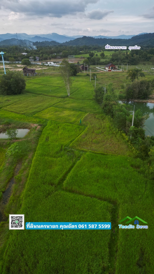 ที่ดินแปลงสวย ราคาไม่แพง ⭐ เหมาะซื้อเก็บเก็งกำไร 1 ไร่ หนองแสง อ.ปากพลี จ.นครนายก