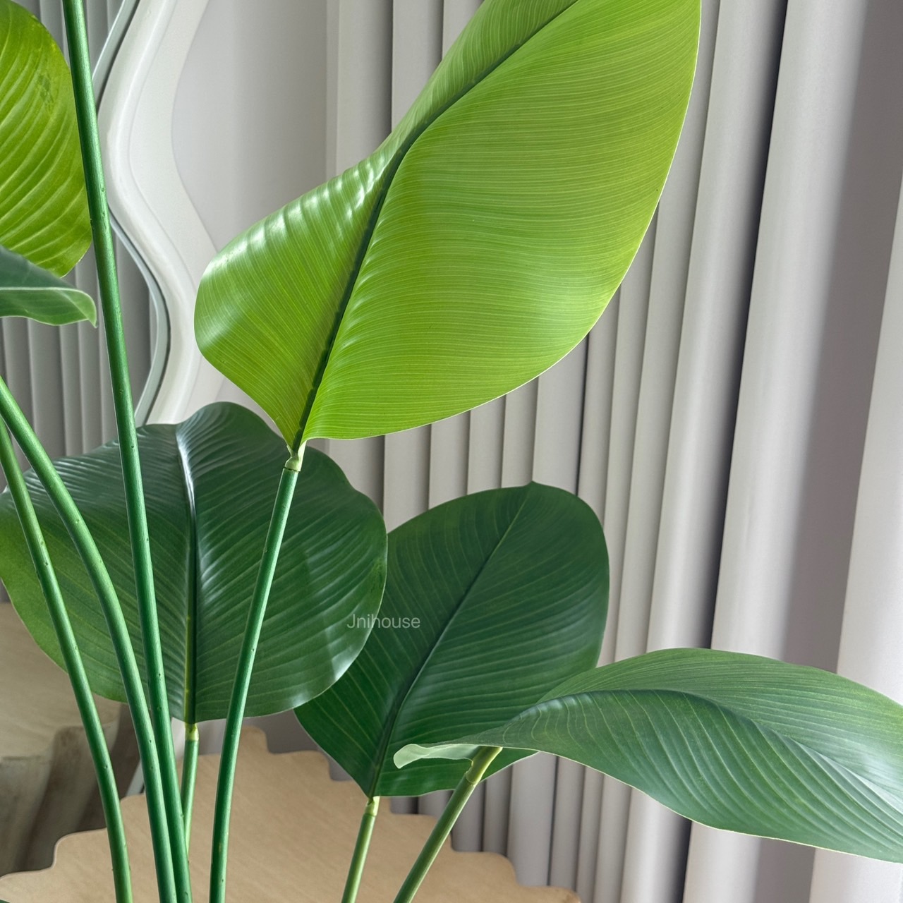 [พร้อมส่ง] Jnihouse : ต้นปักษาสวรรค์ประดิษฐ์(Tree) สูง 170 cm (ใบอ่อน)