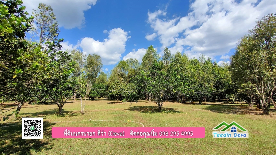 บ้านสวนผลไม้ ใกล้กับแหล่งท่องเที่ยว เจ้าของปลูกมะยงชิด ส้มโอ ต้นกฤษณา 20 ไร่ อยู่ติดถนนสายท่องเที่ยว สาริกา-นางรอง ต.สาริกา อ.เมือง จ.นครนายก