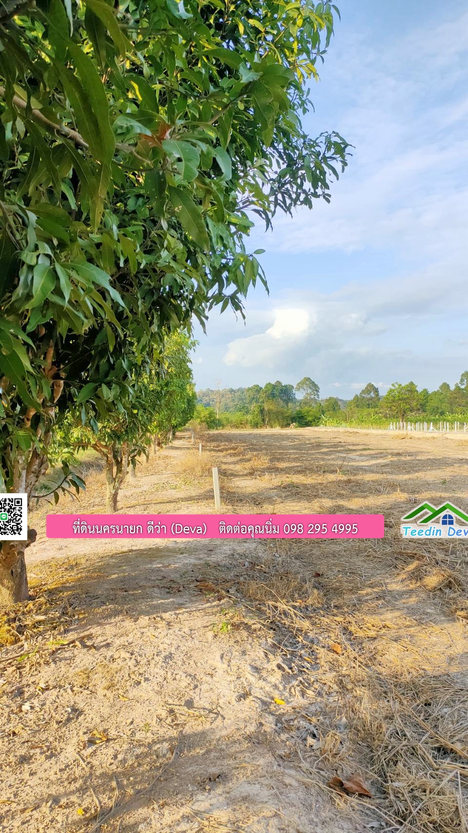 ที่ดินวิวภูเขา แปลงสวย เนื้อที่ 1 ไร่ 3 งาน ด้านหน้าวิวภูเขา ด้านหลังเป็นสวนผลไม้ ต.เขาเพิ่ม อ.บ้านนา จ.นครนายก