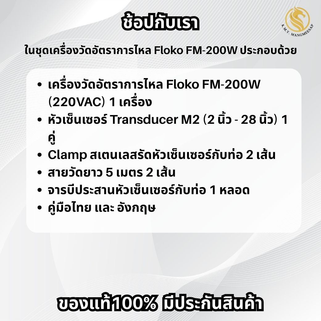 FM-200W เครื่องวัดอัตราการไหลของเหลว แบบอุลตร้าโซนิคชนิดรัดท่อแบบติดตั้ง