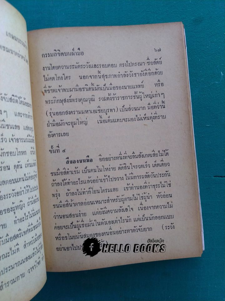 กรรมลิขิตบนฝ่ามือ