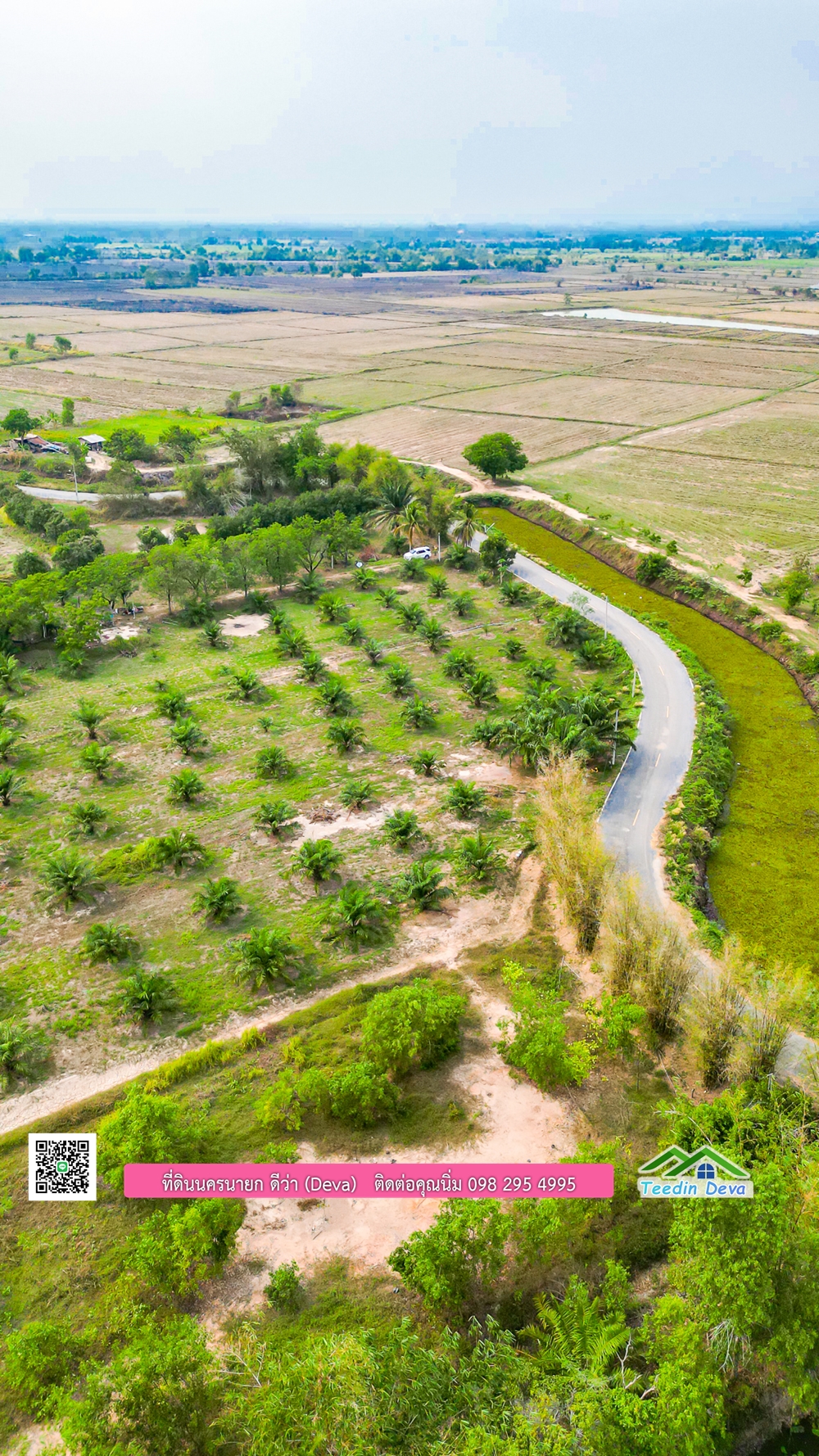 ขายที่ดิน สวนปาล์ม แปลงสวย ทำเลดี เนื้อที่ 11-3-8 ไร่ ให้ผลผลิตแล้ว อ.ปากพลี จ.นครนายก