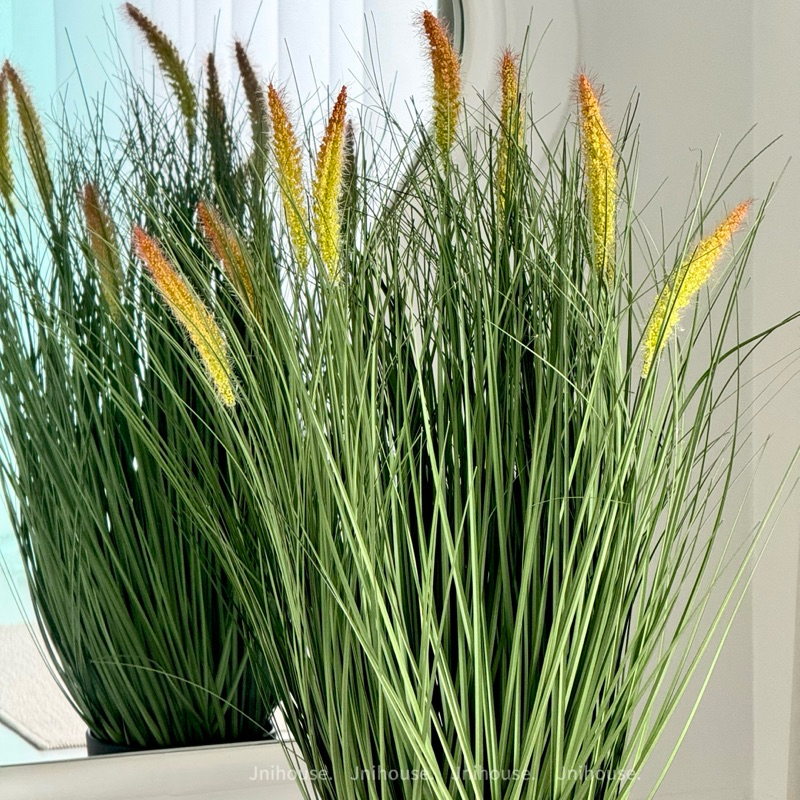 [พร้อมส่ง] Jnihouse : ต้นหญ้าประดิษฐ์กระถางดำ (Artificial Grass Potted)(Tree)